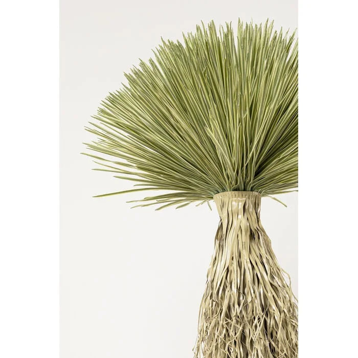 KARE dekoration växt YUCCA ROSTRATA 240 cm